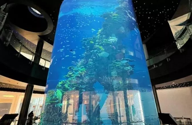 the iconic cylindrical tank at the Mall of Dilmunia Aquarium